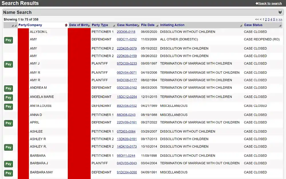 A screenshot displaying a name search results showing information such as party or company name, date of birth, party type, case number, file date, initiating action, and case status from the Knox County Clerk of Courts website.