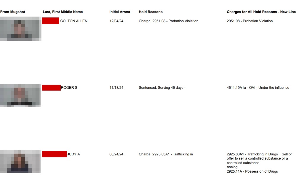 A screenshot of an inmate roster from the Knox County Sheriff's Office showing the offenders' mugshot, last/first/middle name, initial arrest, hold reasons, and charges for all hold reasons.